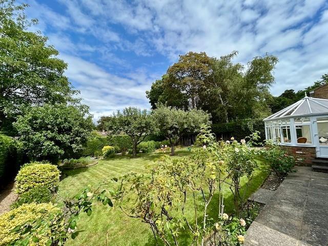 7 Devonshire Drive garden 4.jpg