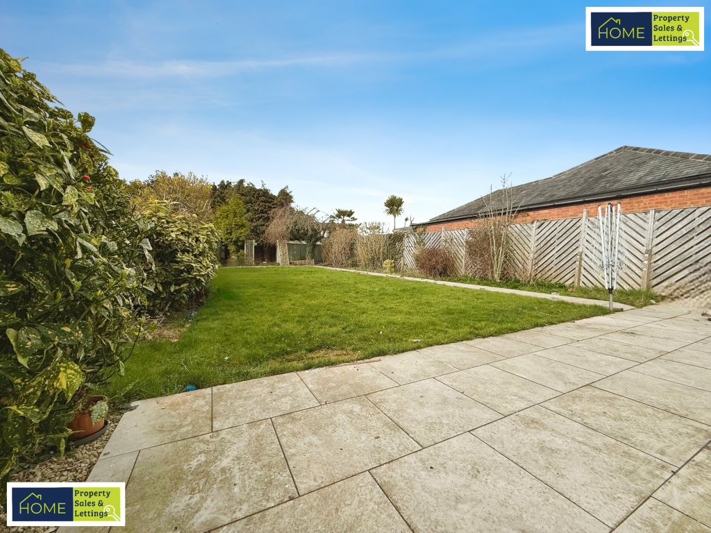 editedimage-973f47e9-d96d-4bde-baa4-d37c7b717918 2