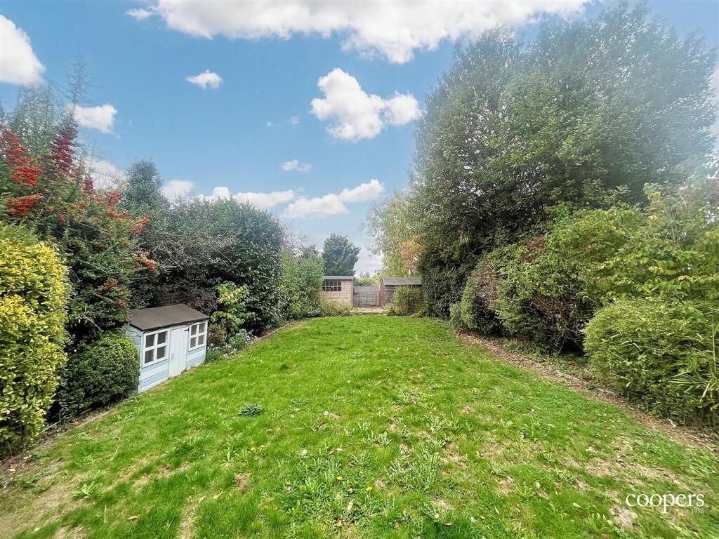 Garden 3.jpg