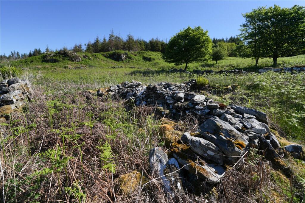 Billy Diamond&#39;s Cott