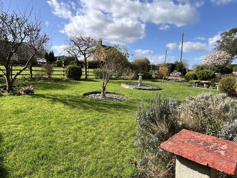 Front garden