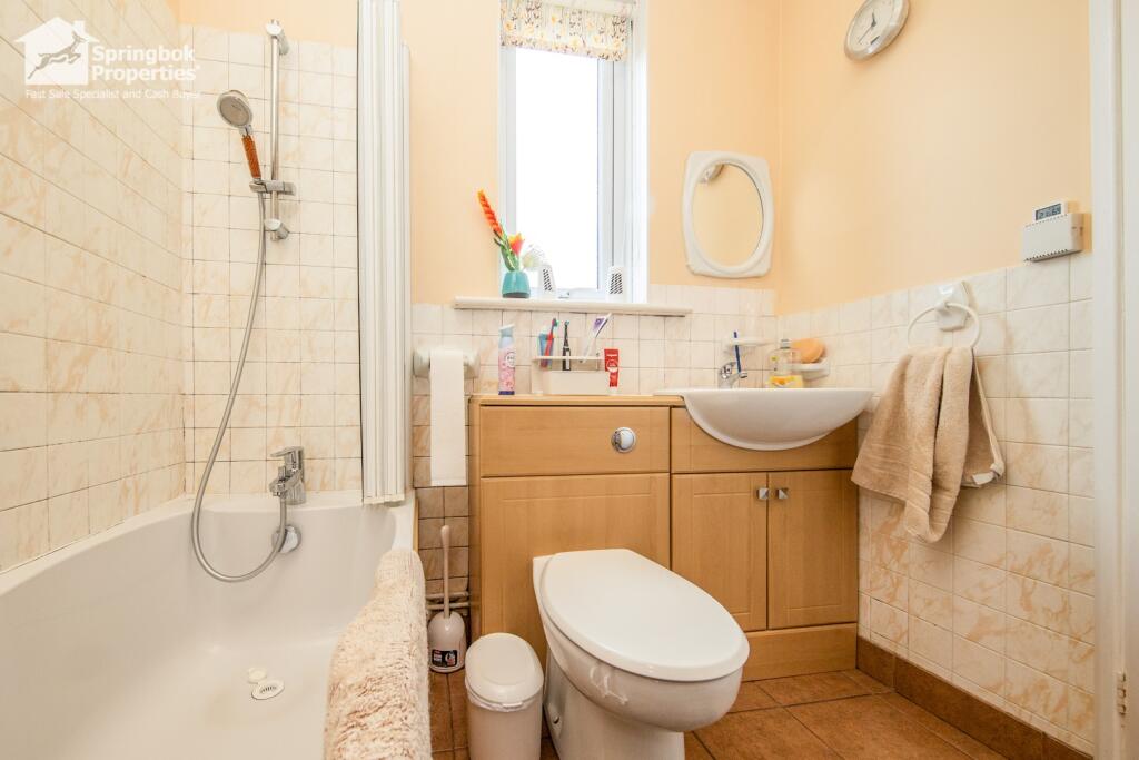 IMAGE 11
