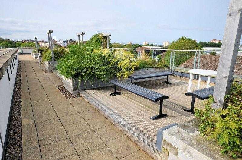Roof Garden