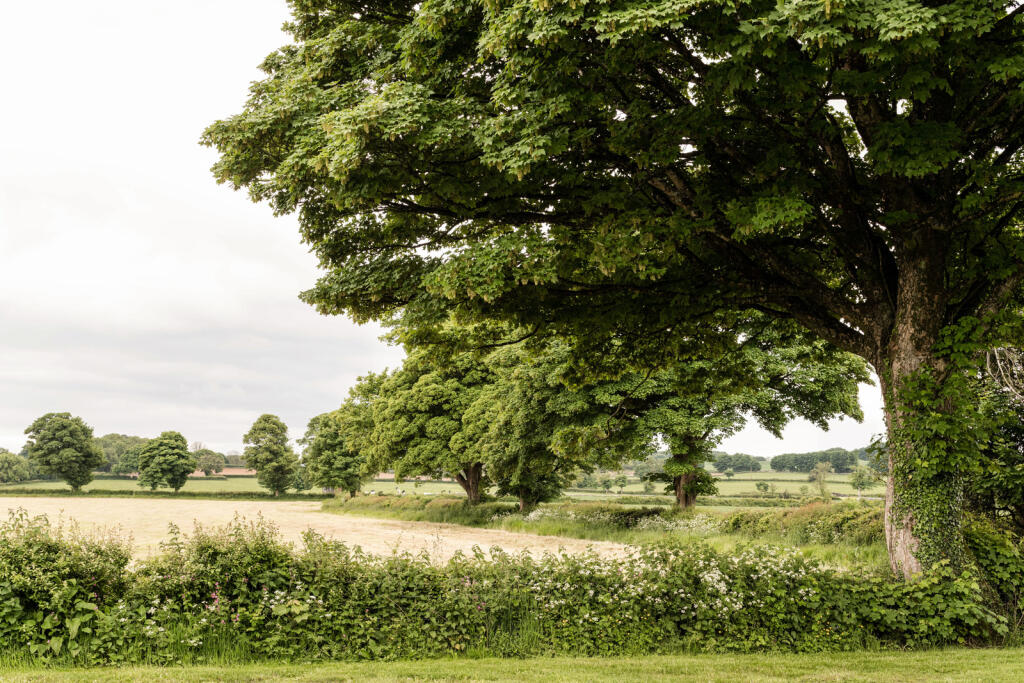 247260 - TMH_LEA FARM (ext)-217.jpg