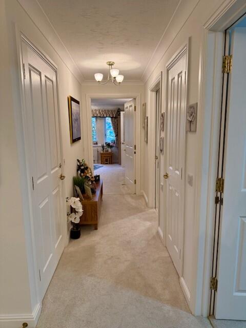 38 Brompton Court