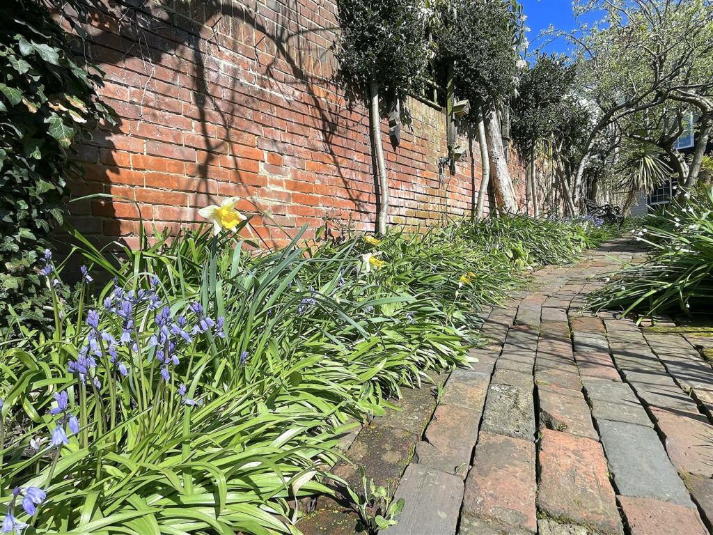 Garden (11).jpeg
