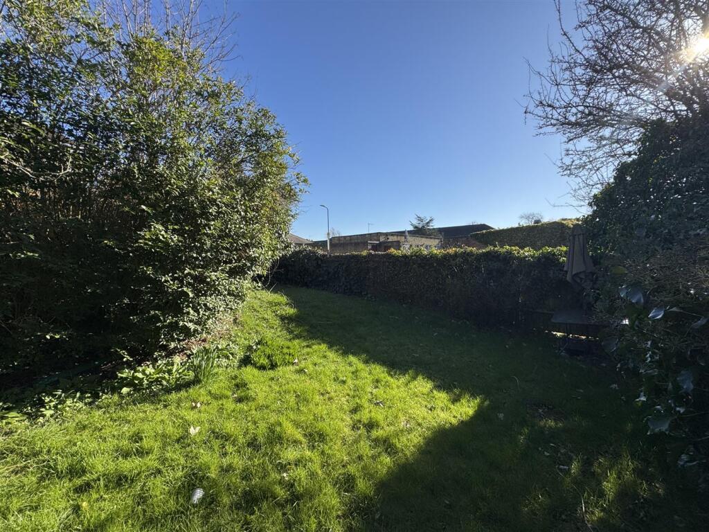 Back Garden.jpeg