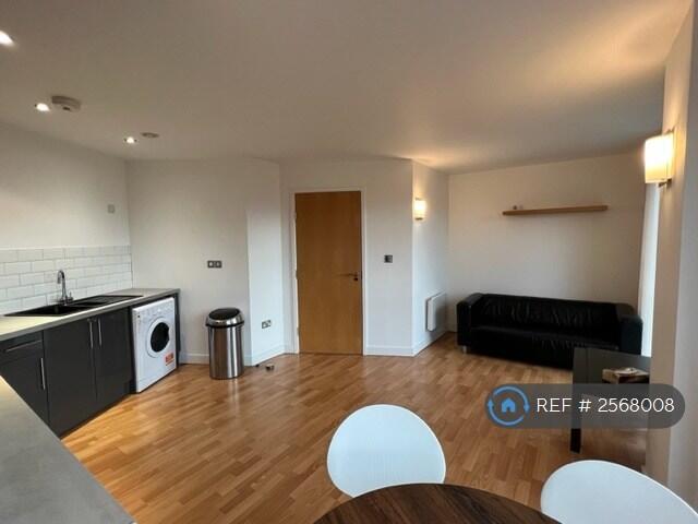 Kitchen Area/Living Area