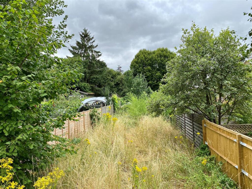garden.jpg