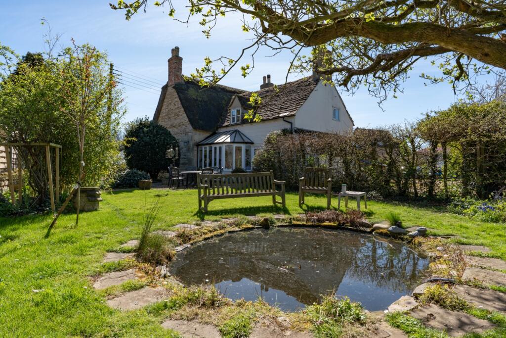 Garden and Pond