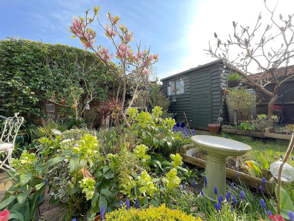 Garden (3)