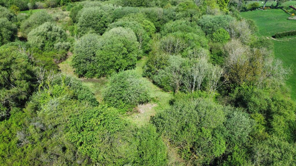 dji_fly_20230512_103750_211_1683884751086_photo_op