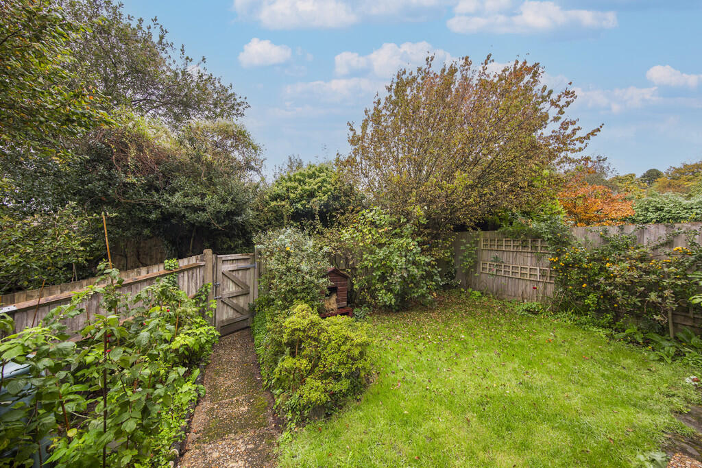 Garden 4