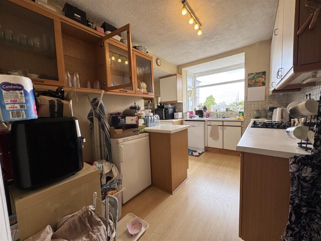 IMG_9538 (Large).JPG