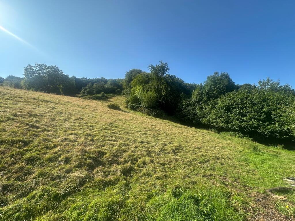 2DD45634-828B-4911-A1F0-7E325B40420E