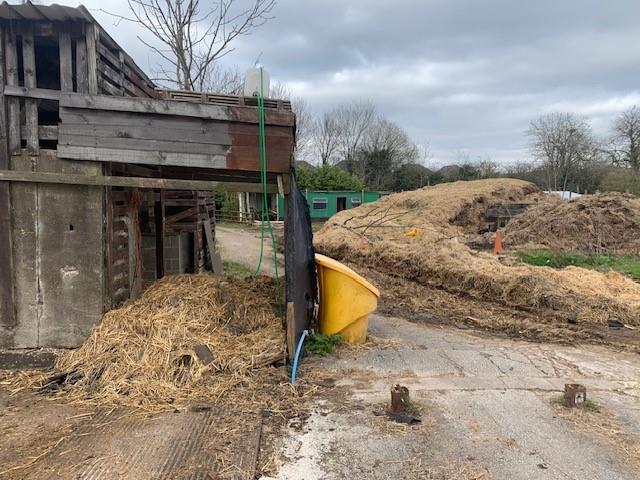 Equestrain Land Please see summary