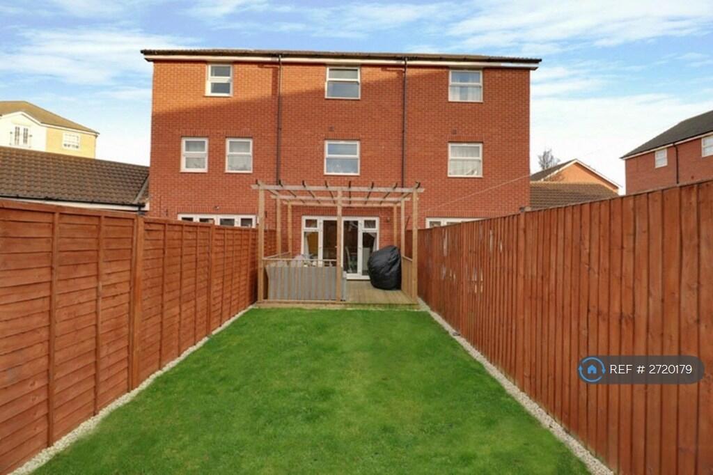 Back Garden