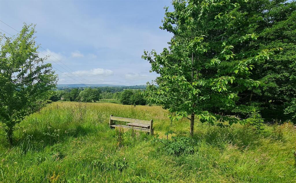 Cropped Bench and View.jpg