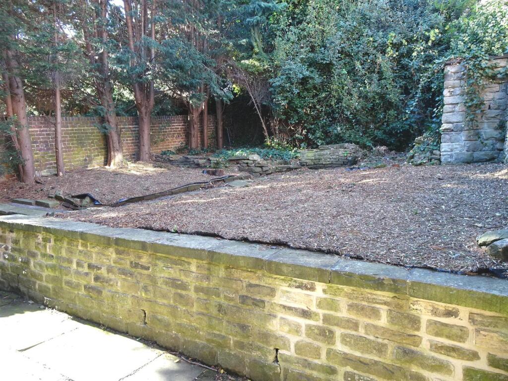 Back garden.JPG