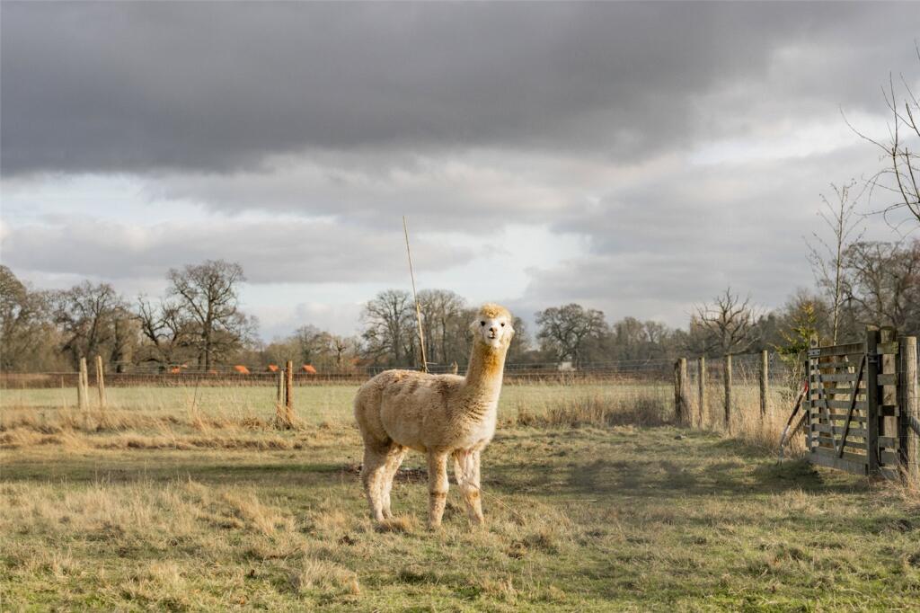 Paddocks