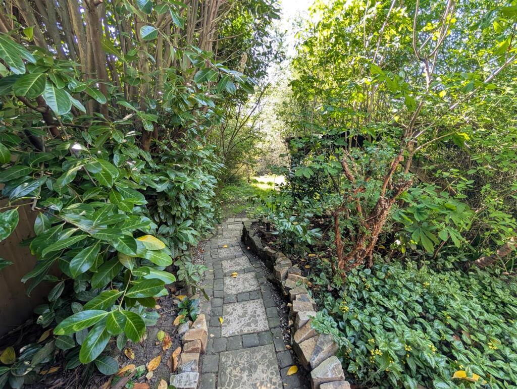 Back Garden 5.jpg