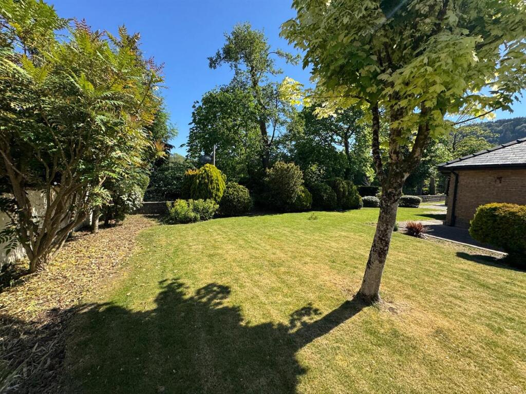 PHOTO-2025-06-10-15-00-38 (3).jpg