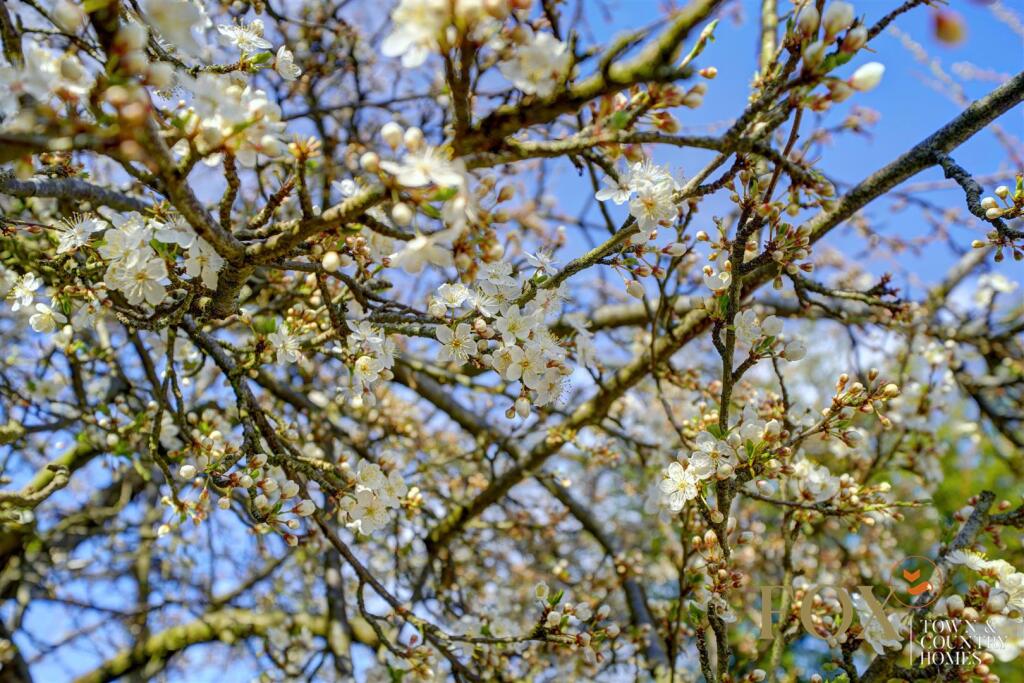 2 St Catherins Hill (37).jpg