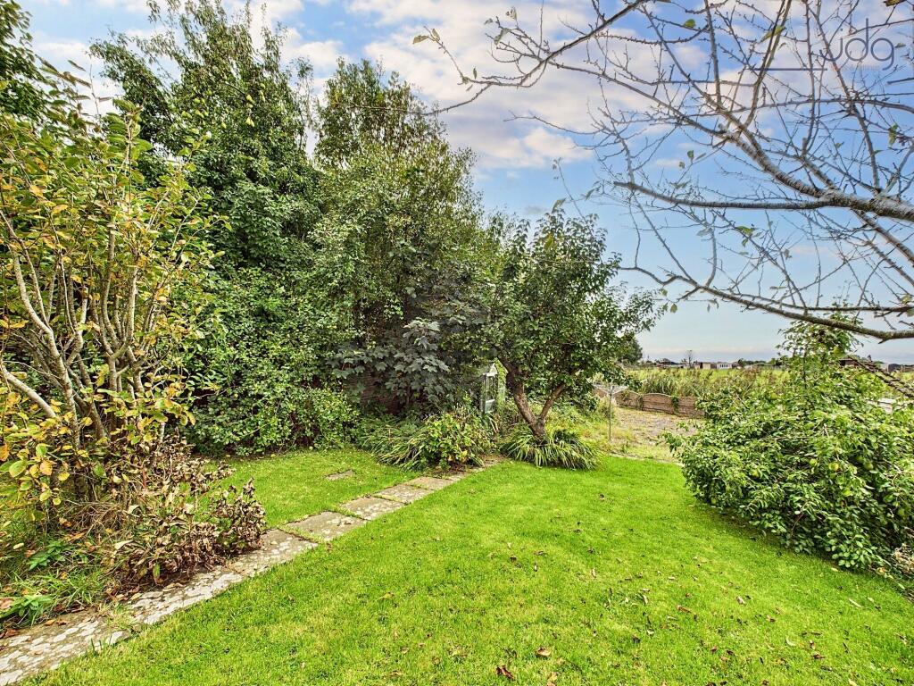 South West facing garden with prize winning pear tree, flags and lawn