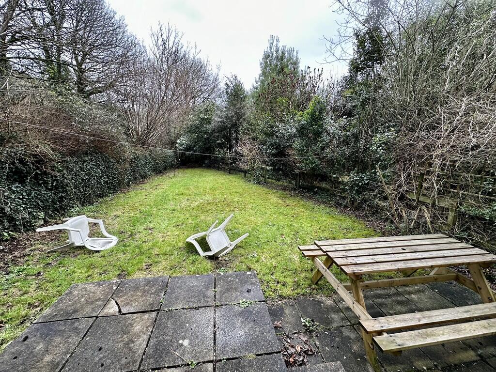 Back garden 