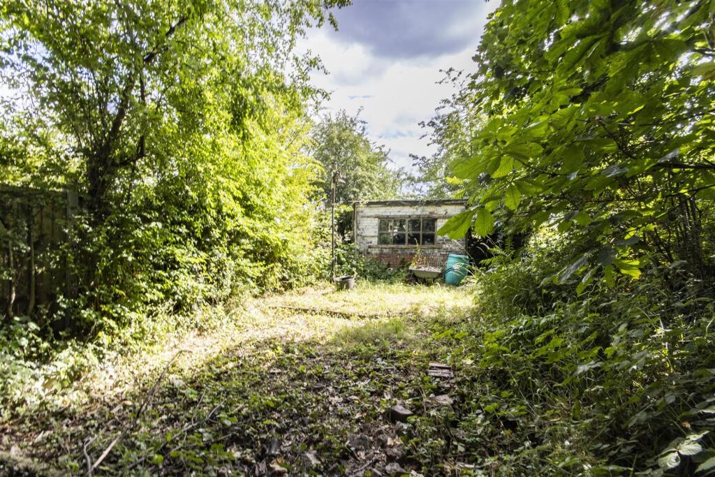 Rear Garden2