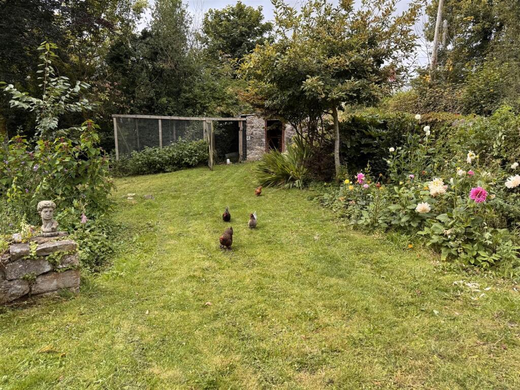 Chicken Run