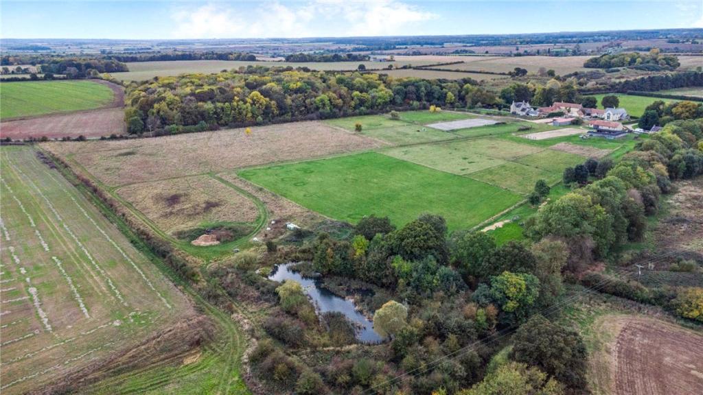 Pond & Paddocks
