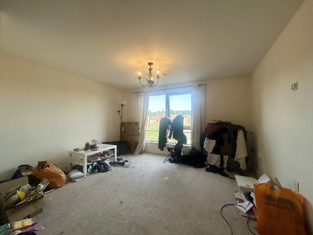 2  Medium  T202508131415.jpg