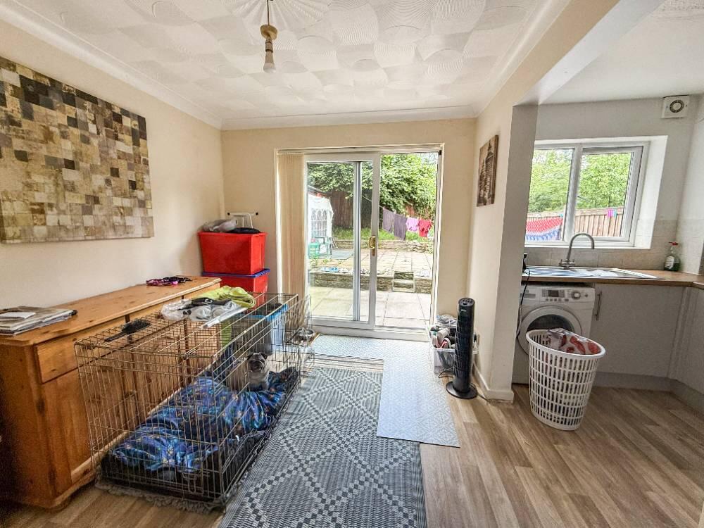 IMG 3697.tCFHe-Pro T202507311527.jpg