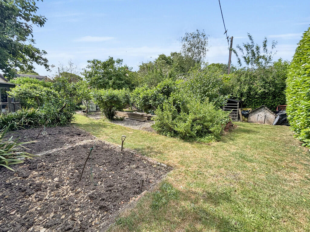 Orchard
