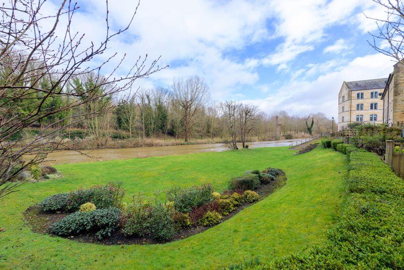 View from Garden