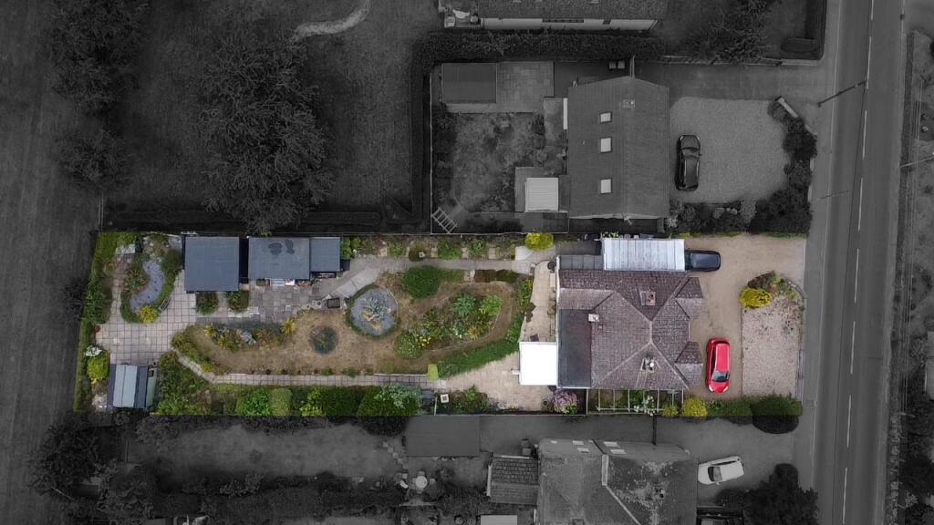 Ariel View