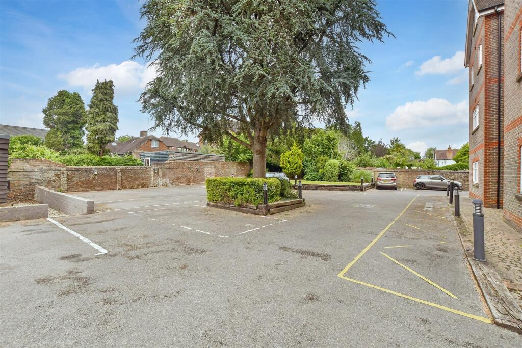 Driveway/Parking
