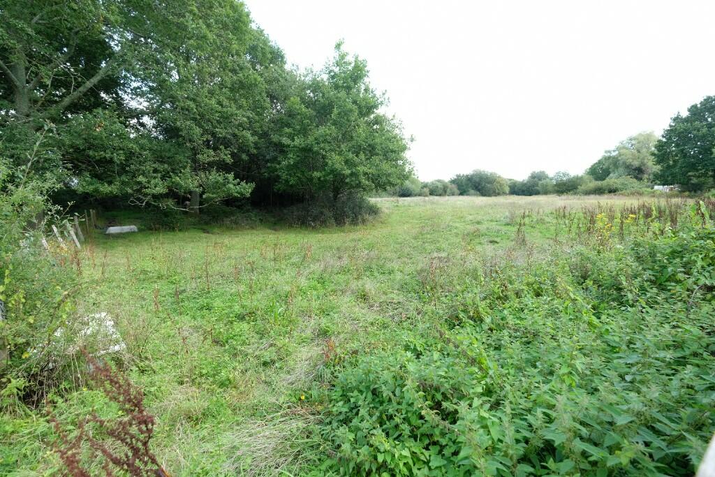 VIEW FROM GARDEN