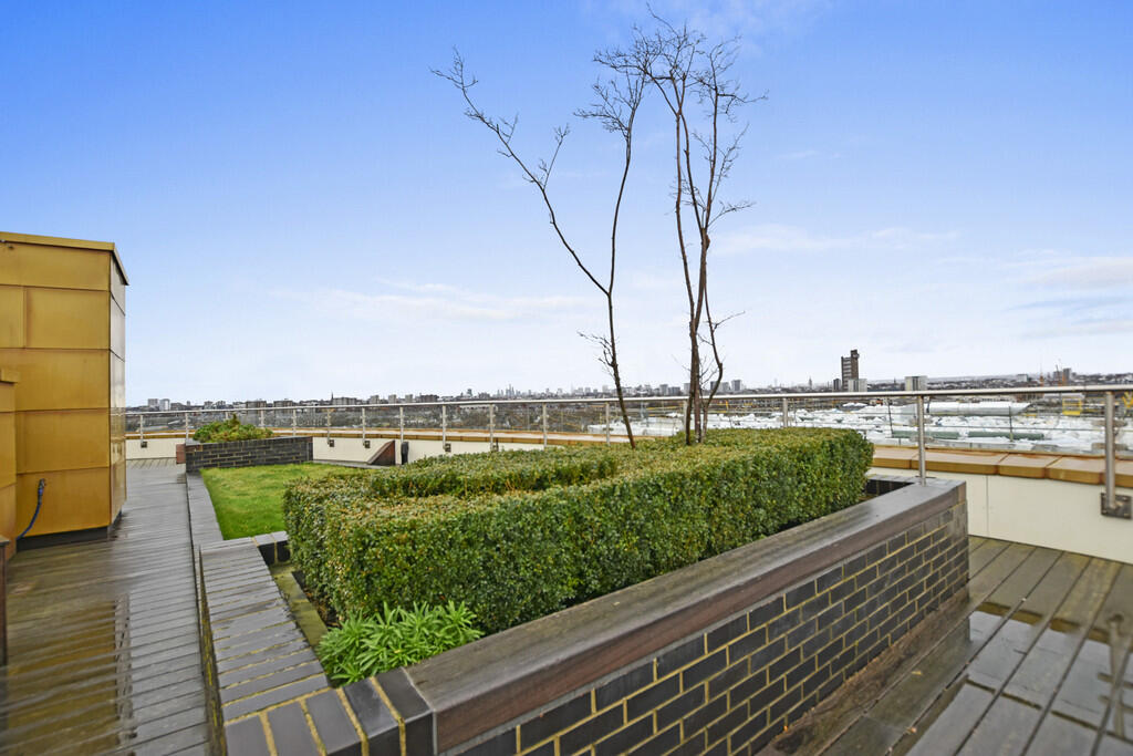 DNRACHELMACK - Fl...