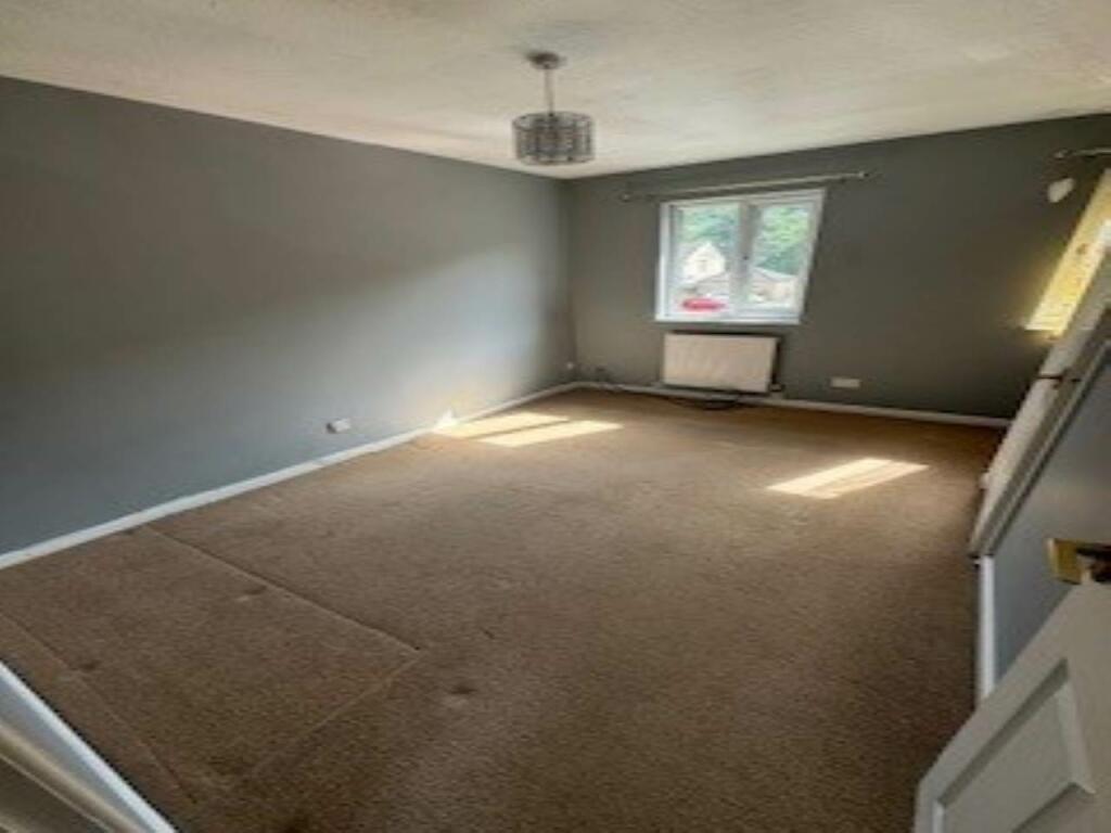 pic 4
