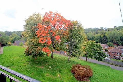 View From Balcony