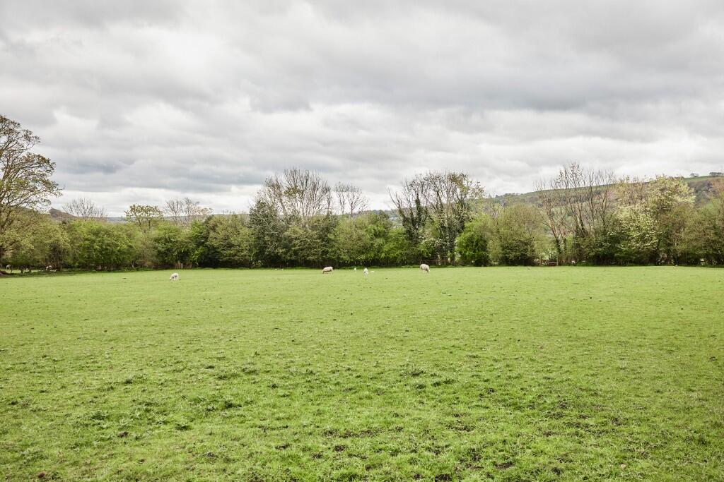Surrounding Farmland