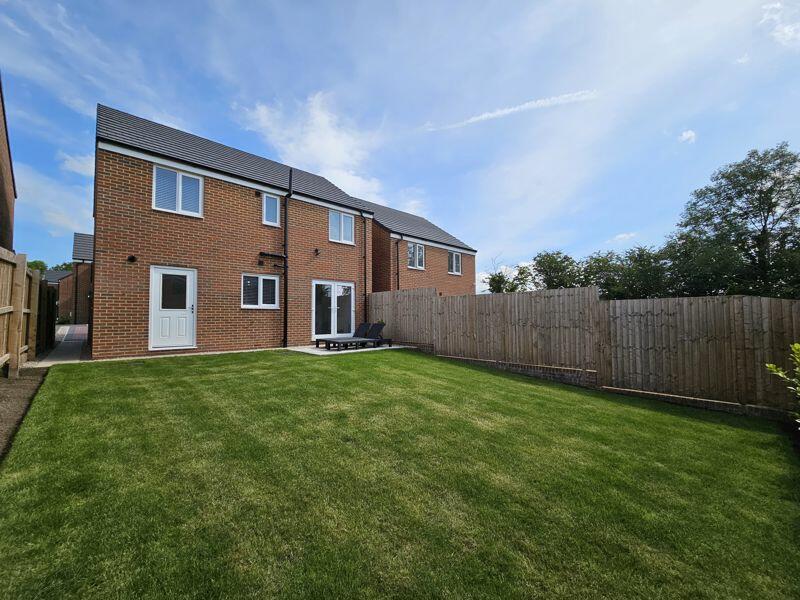 Rear Elevation