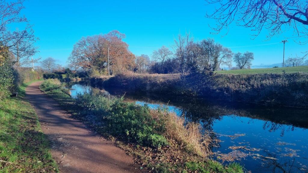 Tiverton - Seddons