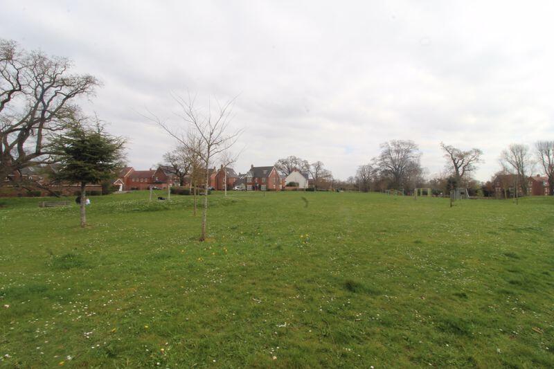 Field Views