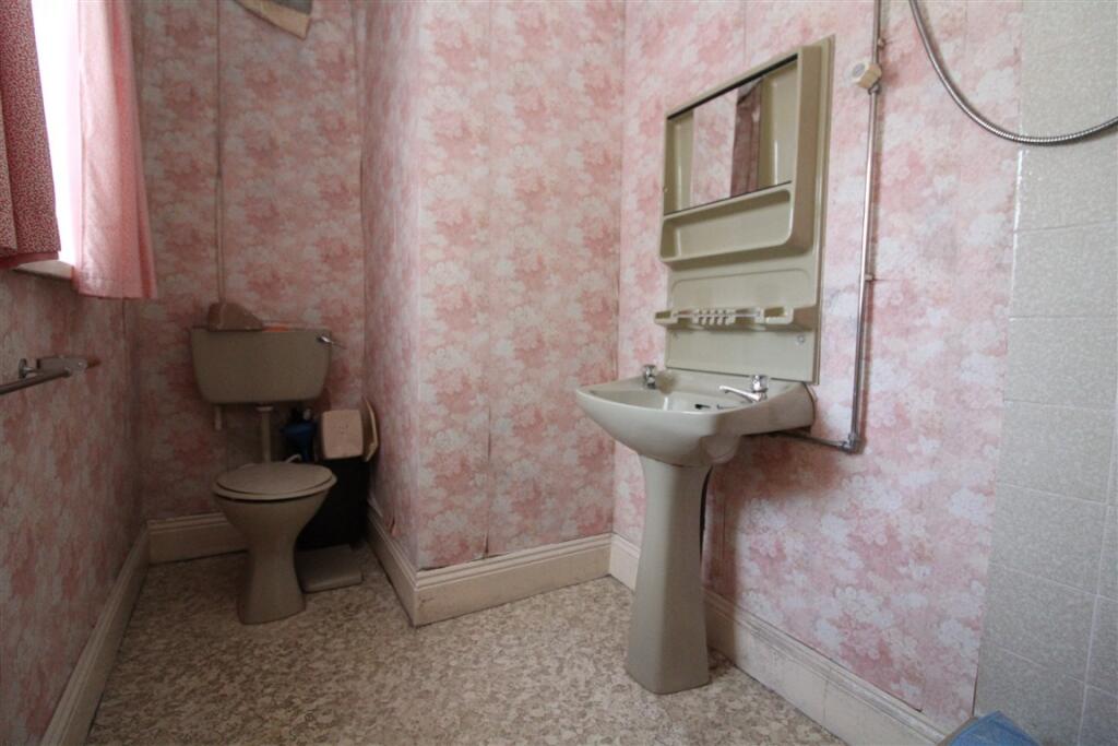 IMG 6514  Medium  T202509101545.jpg