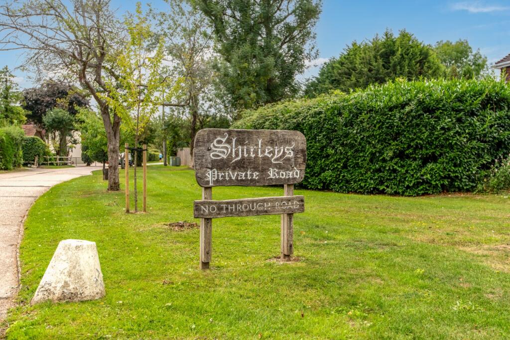 37Shirleys-67