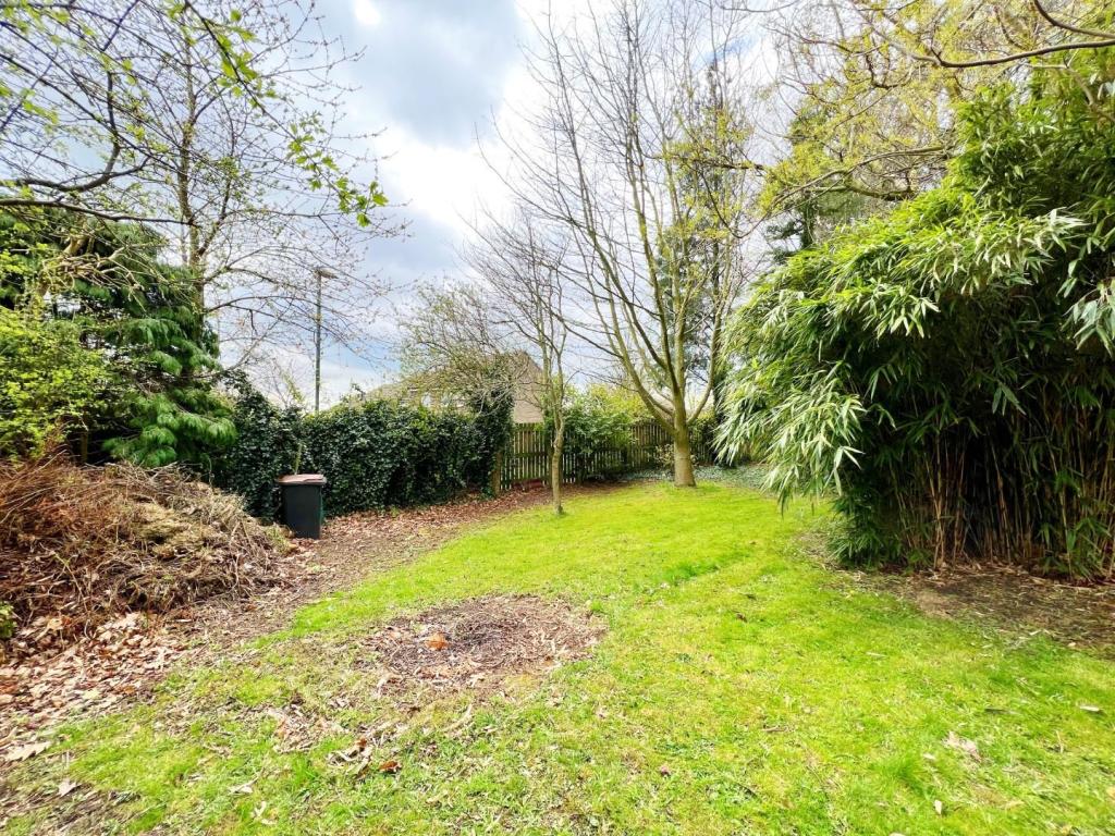 Garden 15.jpg