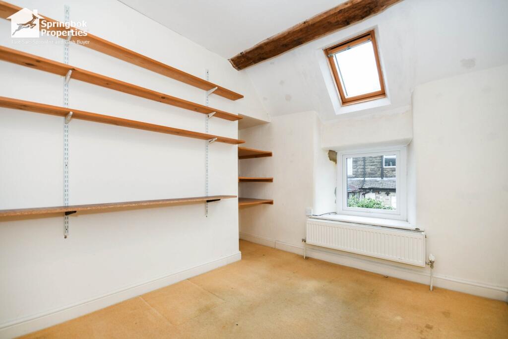 IMAGE 12